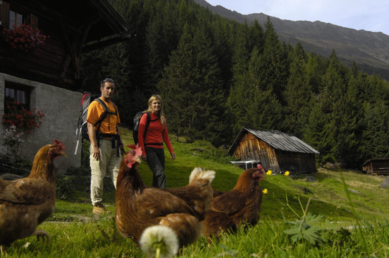 Aparthaus Camping Stubai Нойштифт-им-Штубайталь Экстерьер фото